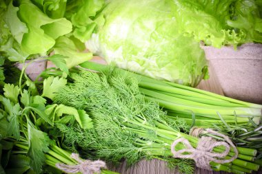 sağlıklı yeşil artalan