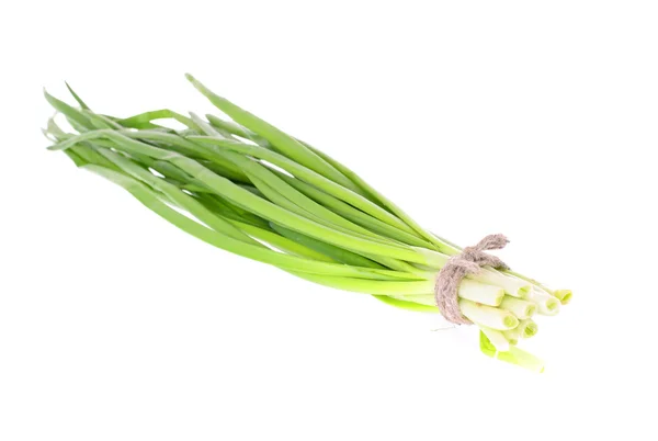 Fresh leek isolated on white — Stock Photo, Image