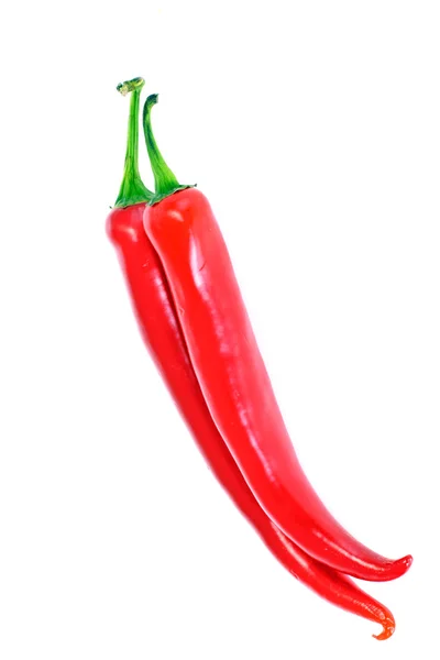 Röd het kylig paprika isolerad på vit — Stockfoto