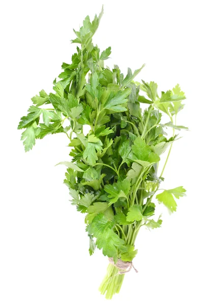 Fresh Green Parsley Isolated on White Background — Stock Photo, Image