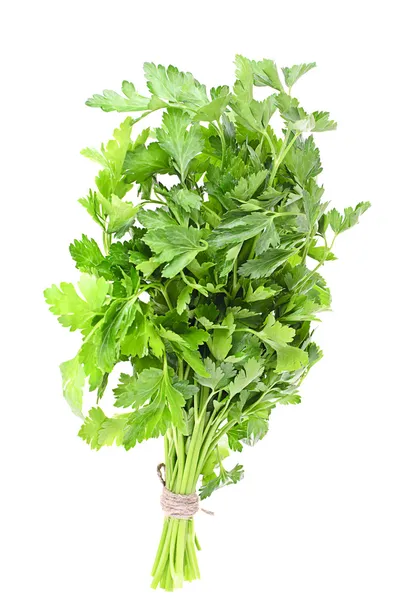 Fresh Green Parsley Isolated on White Background — Stock Photo, Image