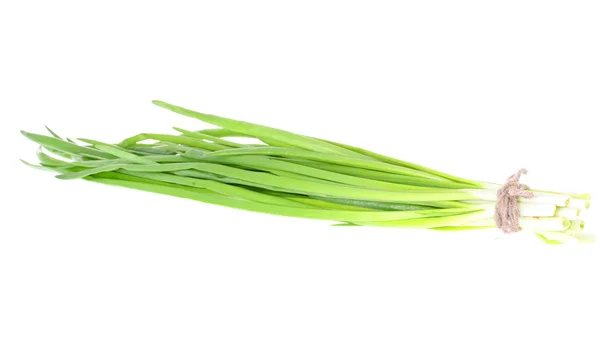 Fresh leek isolated on white — Stock Photo, Image