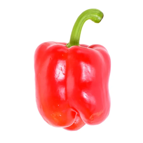 Färgade färska paprika isolerad på vit bakgrund — Stockfoto
