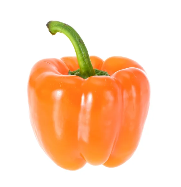 Farbige frische Paprika isoliert auf weißem Hintergrund — Stockfoto