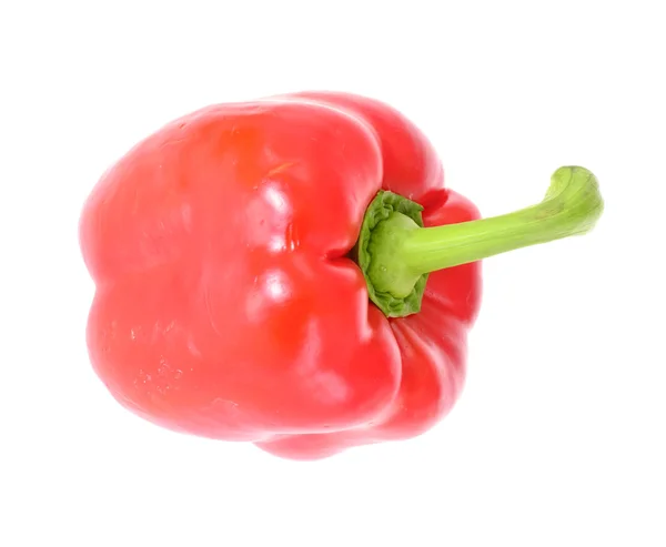 Χρωματιστά φρέσκο πιπέρι γλυκό απομονώνονται σε λευκό φόντο — Φωτογραφία Αρχείου