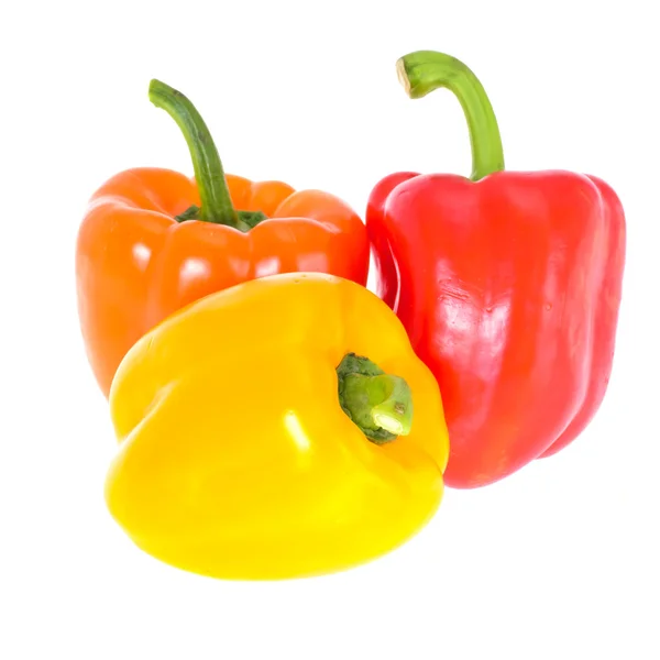 Farbige frische Paprika isoliert auf weißem Hintergrund — Stockfoto