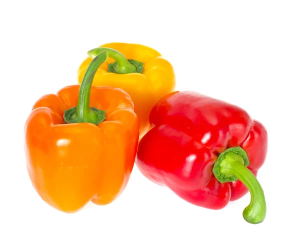 Farbige frische Paprika isoliert auf weißem Hintergrund — Stockfoto