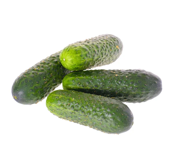 Fresh green cucumber isolated on white background — Stock Photo, Image