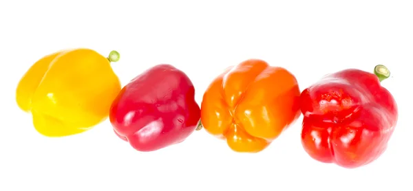 Colored Fresh Sweet Pepper Isolated on White Background — Stock Photo, Image