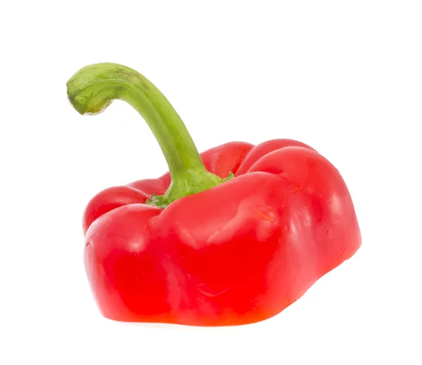 Farbige frische Paprika isoliert auf weißem Hintergrund — Stockfoto