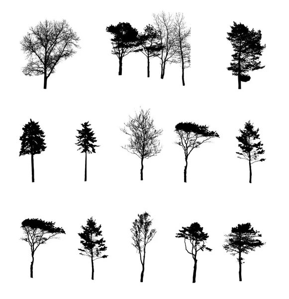 Ensemble de silhouettes d'arbres — Image vectorielle