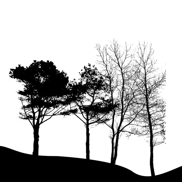 Baumsilhouette isoliert auf weißem Grund. Vektorillustrationen — Stockvektor