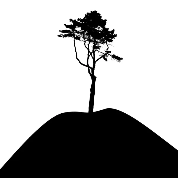 Silueta de árbol aislado sobre fondo blanco. vecrtor illustrati — 스톡 벡터