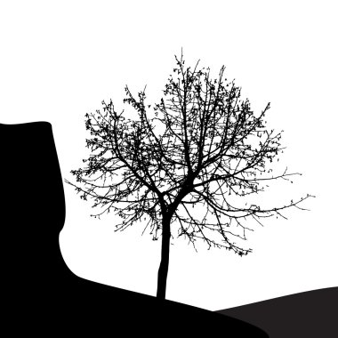 Beyaz backgorund izole ağaç siluet. vecrtor illustrati