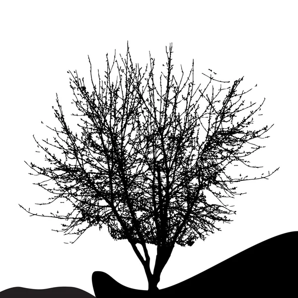 树上白色 backgorund 孤立的剪影。vecrtor illustrati — 图库矢量图片