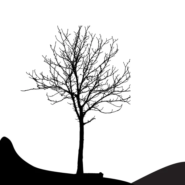 Baumsilhouette isoliert auf weißem Grund. Vektorillustrationen — Stockvektor