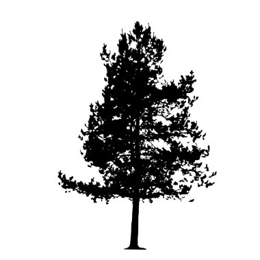 Beyaz backgorund izole ağaç siluet. vecrtor illustrati