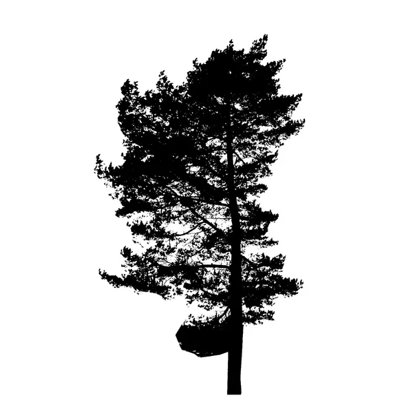 Silueta de Árbol Aislada en Backgorund Blanco. Vecrtor Illustrati — Vector de stock