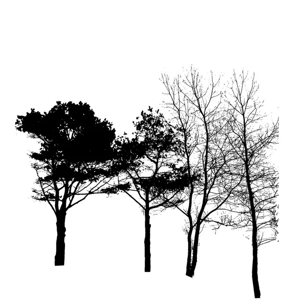 Silhueta de árvore isolada em White Backgorund. Vecrtor Illustrati — Vetor de Stock