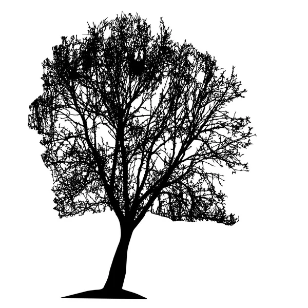 Silhueta de árvore isolada em White Backgorund. Vecrtor Illustrati — Vetor de Stock