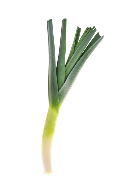 Fresh leek isolated on white — Stock Photo, Image