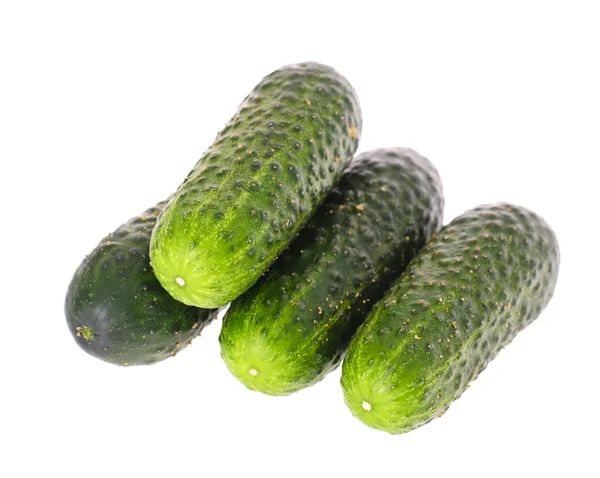 Fresh green cucumber isolated on white background — Stock Photo, Image