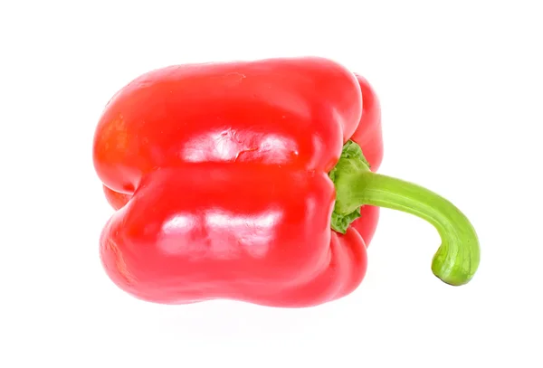Χρωματιστά φρέσκο πιπέρι γλυκό απομονώνονται σε λευκό φόντο — Φωτογραφία Αρχείου