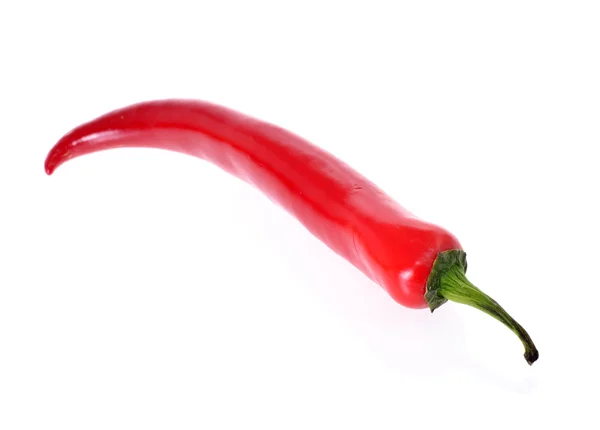 Friss színes hot chili paprika fehér — Stock Fotó