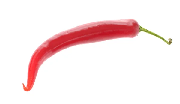 Verse kleurrijke hot chili peper op witte — Stockfoto