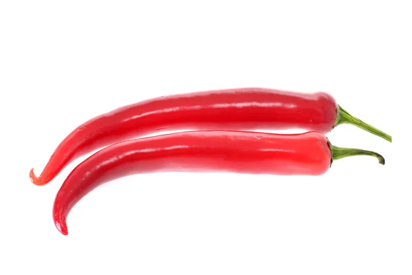 Friss színes hot chili paprika fehér — Stock Fotó