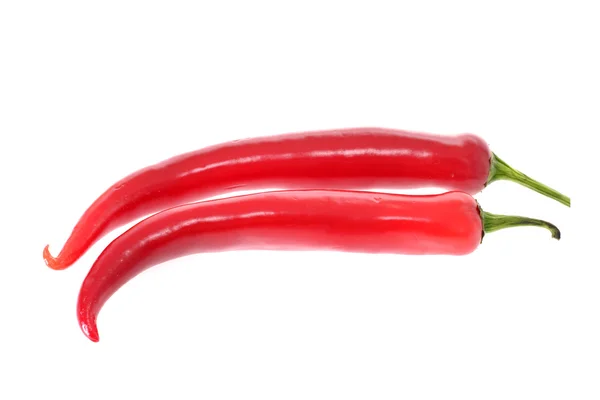 Färska färgglada hot chili peppar på vit — Stockfoto