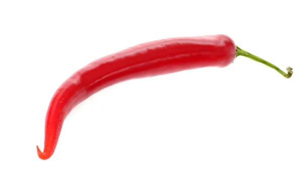 Fresh colorful hot chili pepper on white — Stock Photo, Image