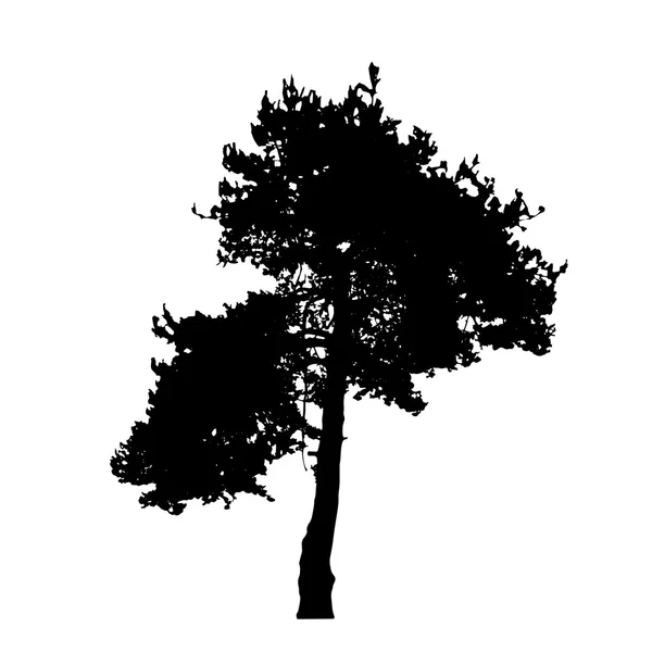 Träd silhouette isolerad på vita backgorund. vecrtor illustrati — Stock vektor