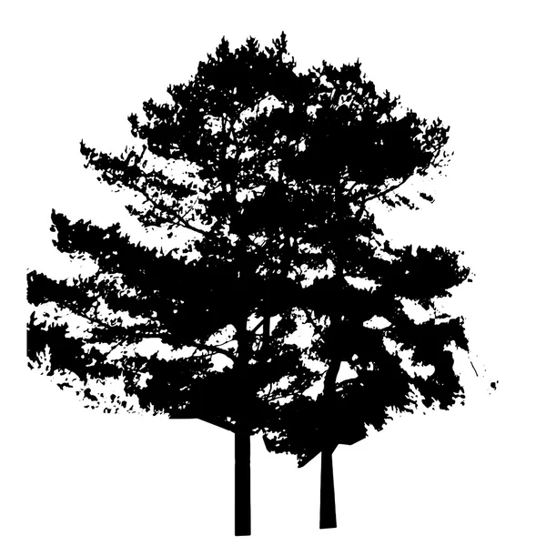 Beyaz backgorund izole ağaç siluet. vecrtor illustrati — Stok Vektör