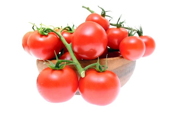 Branch of tomatoes isolated on white background — Stock Photo, Image