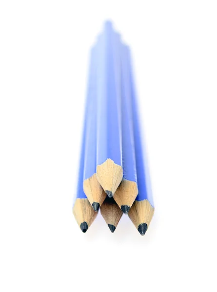 Синие карандаши, изолированные на белом — стоковое фото