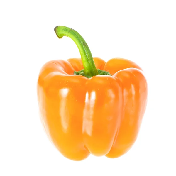 Colored Fresh Sweet Pepper Isolated on White Background — Stock Photo, Image