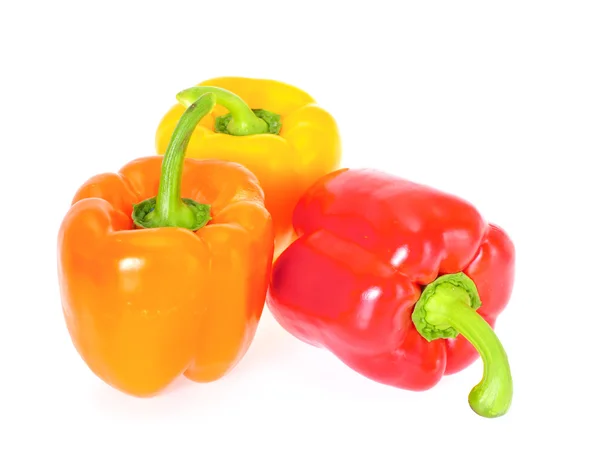 Colored Fresh Sweet Pepper Isolated on White Background — Stock Photo, Image