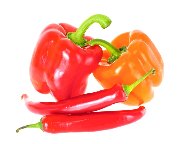 Färgade färska paprika isolerad på vit bakgrund — Stockfoto