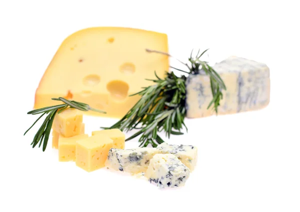 하얀 배경에 분리 된 스위스 치즈 — 스톡 사진