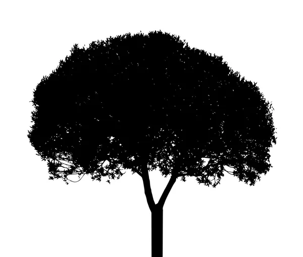 Silueta de árbol — Archivo Imágenes Vectoriales