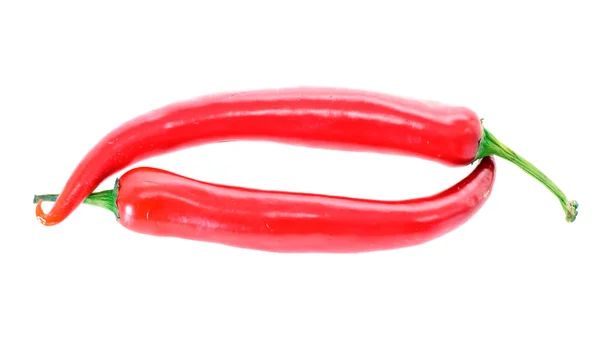 Röd hot chilly peppar isolerad på vit bakgrund — Stockfoto