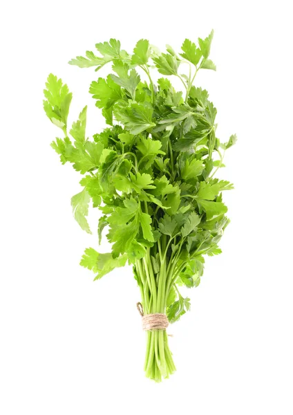 Fresh Green Parsley Isolated on White Background — Stock Photo, Image