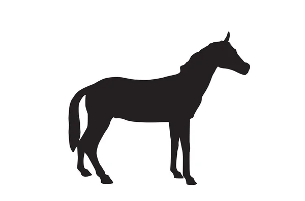 Silhouette de cheval — Image vectorielle