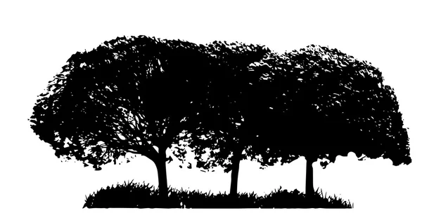 Siluetas de árbol — Vector de stock