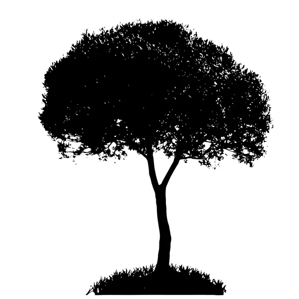 Sílhueta das árvores — Vetor de Stock