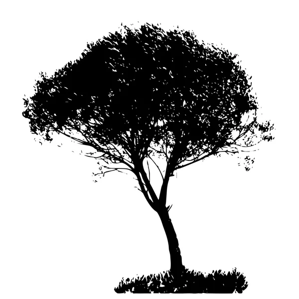 Silueta de árbol — Vector de stock