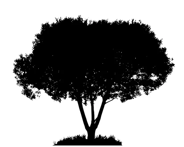 Silueta de árbol — Archivo Imágenes Vectoriales