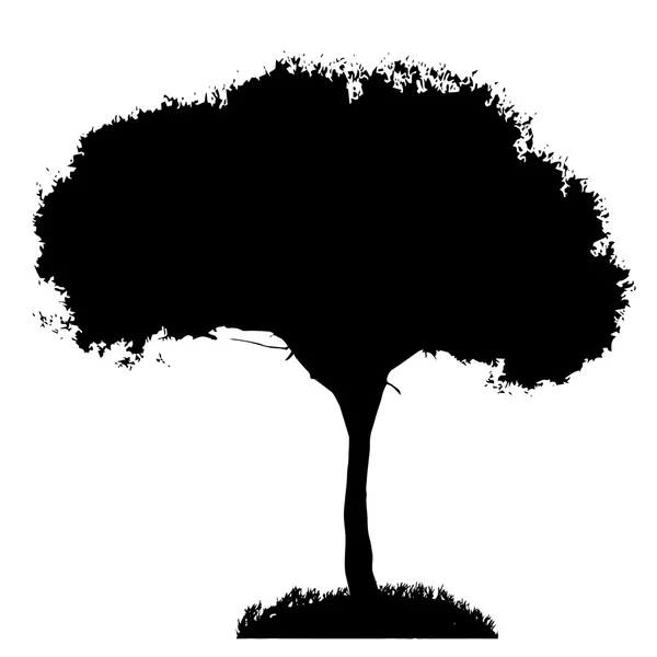 Silueta de árbol — Vector de stock