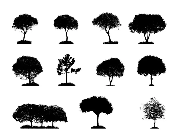 Conjunto de siluetas de árbol — Vector de stock